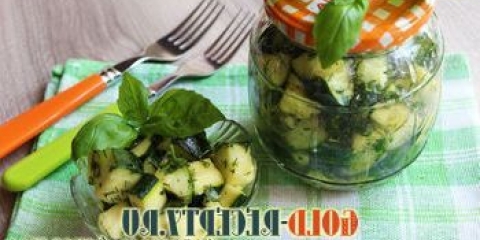 Marinirajte tikvice brzo. Recepti ticchinija (zucinni) brzi kuhanje