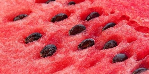 Ulje za lubenice-koštane ulje - pomaže iznutra i izvana