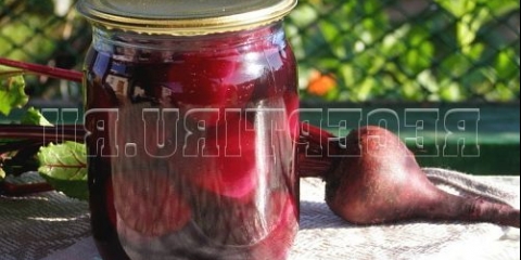 Fina repa konzervirana cjelina