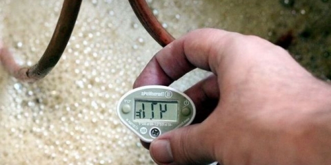 Metode za određivanje spremnosti brage do destilacije