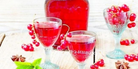 Tinktura crvene ribizle na 3-litarovoj posudi