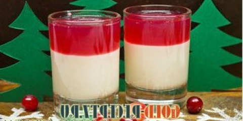 Novogodišnja žele od kisele pavlake sa brusnicama