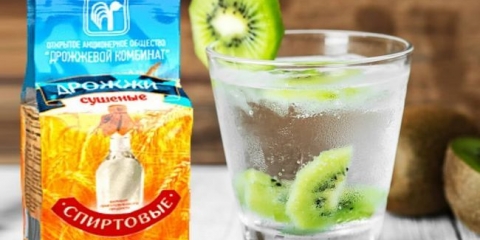 Pregled svih vrsta kvasca za mjesečno, izbor najboljih sojeva kvasca