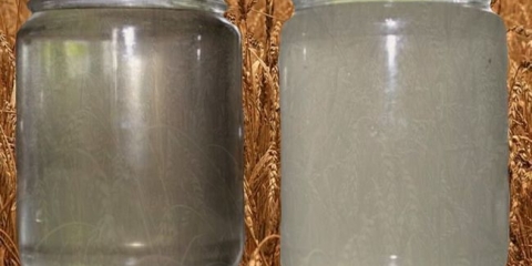 Čišćenje i posvjetljivanje brage prije destilacije