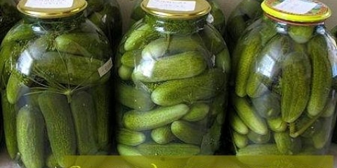 Konzervirani krastavci bez sirćeta