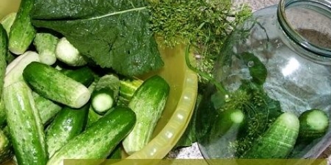 Konzervirani krastavci sa votkom