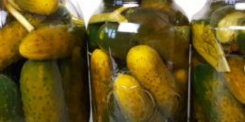 Cucumbers sa češnjakom za zimu: recepti za svaki ukus