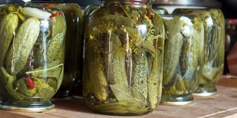 Krastavci sa sirćetom u 1.5 litarskih banaka