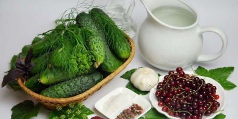 Kutionica valute: crvena i crna