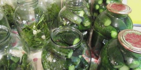 Cucumbers u 3 l limenke sa šećerom i sirćetom