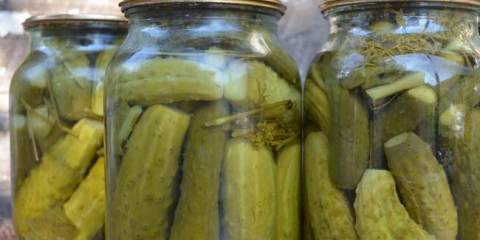 Krastavci u litarskim bankama bez sirćeta