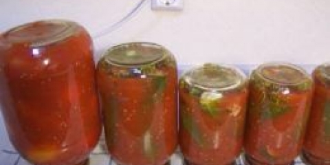 Cucumbers u paradajz soku za zimu - ukusne gredice za vaš stol
