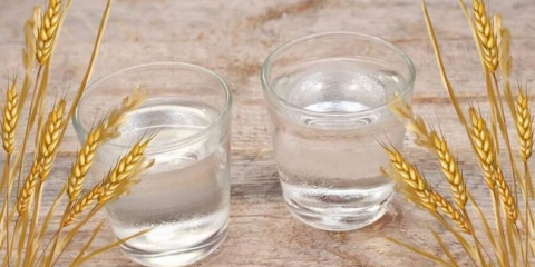 Opis koncepta srednje trake, recepti izrade hljeba votke