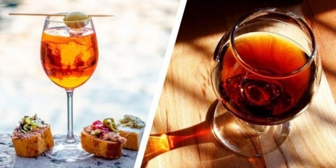 Definicije aperitiva i probavne, pravila za dovod