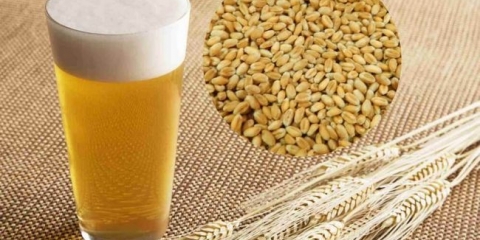 Značajke pšeničnog piva, recepti za kuhanje sa vlastitim rukama