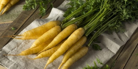 Značajke sorti i pravila uzgoja žute mrkve