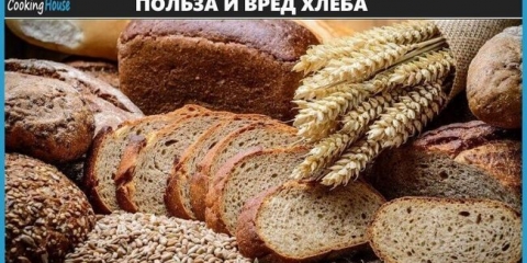 Značajke odabira hljeba za hranu, sa pp ili mršavom