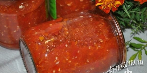 Akutna adzhika iz rajčice i češnjaka za zimu sa kuhanjem