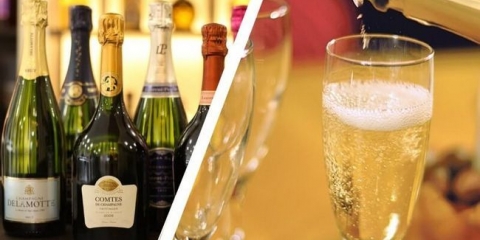 Razlike pjenušavih vina od šampanjca, kuhajući kod kuće