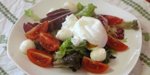Biljna salata sa jajetom i mocarelom