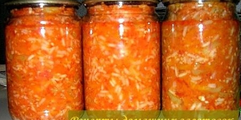 Biljna salata sa rižom za zimu