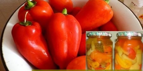 Biber mariniran u ulju