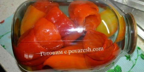 Biber za zimu za punjenje u bankama