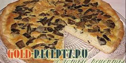 Pita sa šampinjonima recepta sa fotografijama