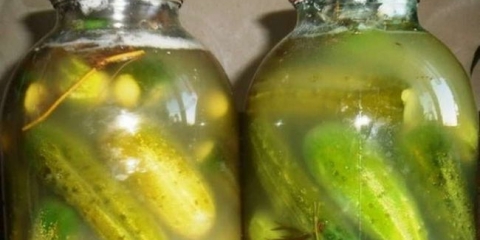 Zašto eksplodirali krastavce sa sirćetom