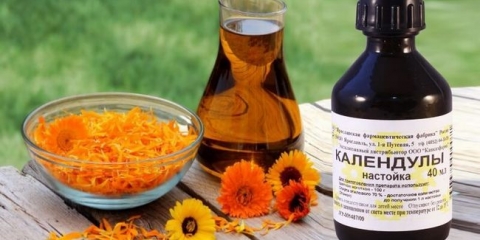 Indikacije za upotrebu, upute za upotrebu tinkture u kalenduli