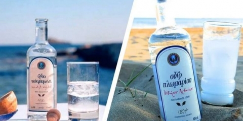 Korisne informacije o grčkom anisu vodku udo