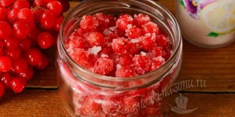 Korisna kalina sa šećerom zimi bez kuhanja