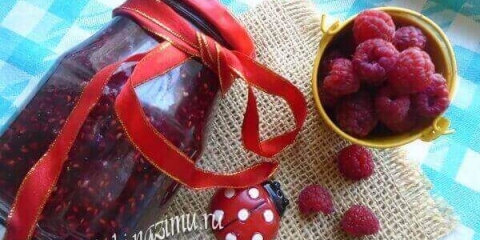 Korisni i jednostavan recept za kuhanje 15 minuta od zastoja od maline za zimu