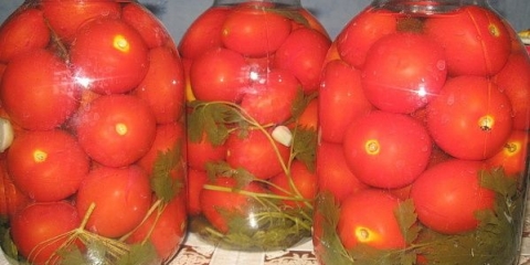 Rajčica konzervirana bez sterilizacije