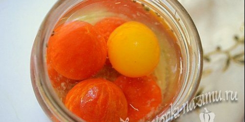 Rajčica na snegu za zimu (sa belim lukom)