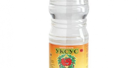 Da li sirće pomaže iz žohara u stanu