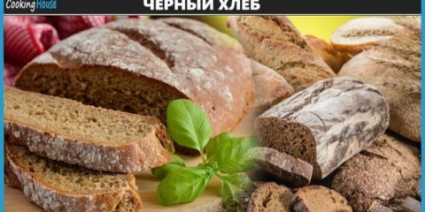 Popularni recepti za kuhanje početna crni hljeb