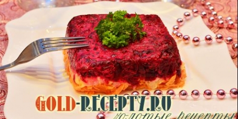 Svečana salata sa repom