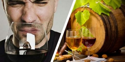 Uzroci transformacije vina u sirće, metode prevencije