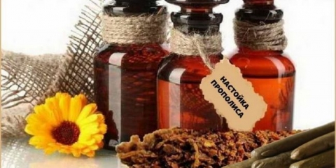 Primjena, kontraindikacije, priprema propolis tinkture