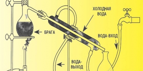 Princip rada staklenog mjeseca, čineći papagaju vlastitim rukama