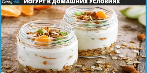Porijeklo jogurta, kuhajući recepte kod kuće