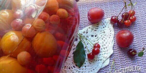 Jednostavan i ukusan kompot od šljiva i trešnje za zimu