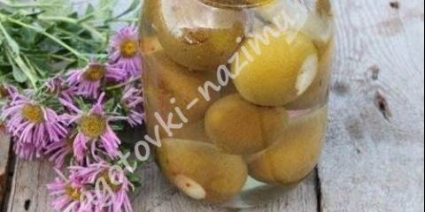 Jednostavan kompot kruške za zimu