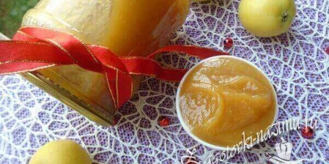 Jednostavan korak po korak recept za jabuke i kruške sa fotografijama kod kuće za zimu