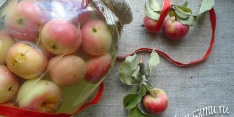 Jednostavan kompot recept iz jabuka za zimu bez sterilizacije