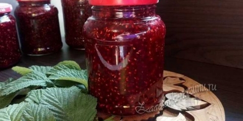 Gumena malina sa šećerom za zimu bez kuhanja