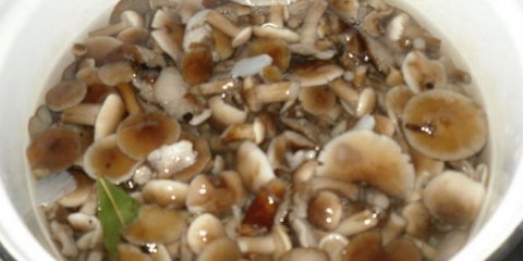 Sarajd za 1 litru vode sa sirćetom