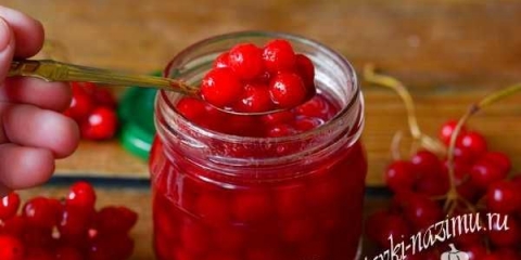 Recept kalina u šećeru za zimu