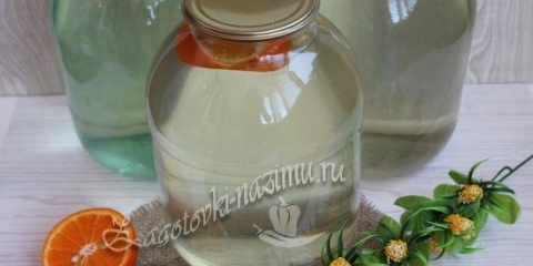 Recepti birch soka za zimu